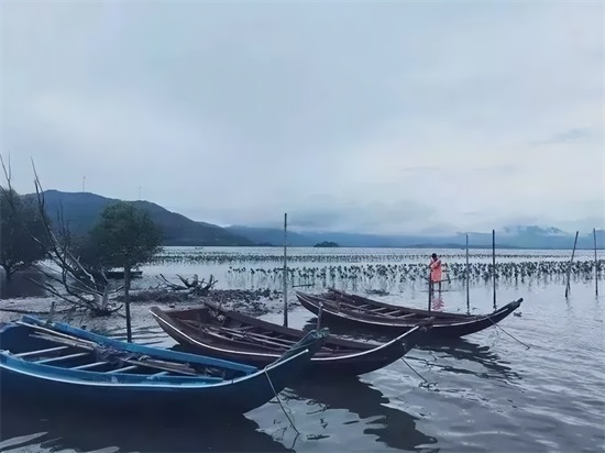 月份适合去哪玩