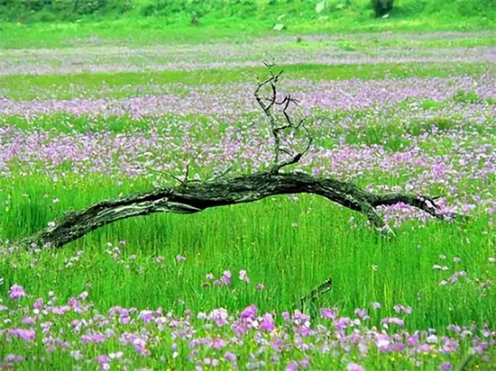 月份适合去哪玩