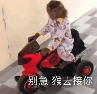 ​告别尴尬！微信拍一拍终于被治了