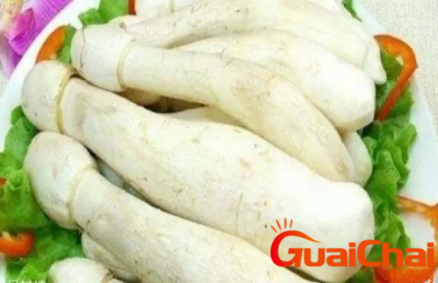 ​鸡腿菇是什么？鸡腿菇有什么功效？