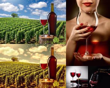 ​97年的郎酒值多少钱(2001年的郎酒值多少钱)