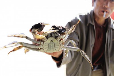 ​河蟹不能和什么一起吃 吃河蟹为何要蘸姜汁？这些部位为啥要扔掉？