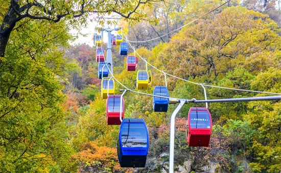 个直辖市是哪5个（中国第五直辖市之争，网友说成都武汉已出局，请给河南一个机会)"