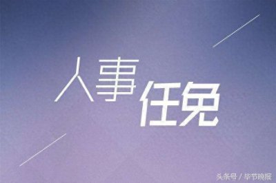 ​七星关区最新人事任免