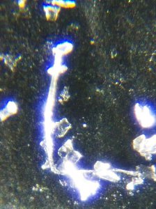 ​陨石钻石是纳米六方钻石晶系