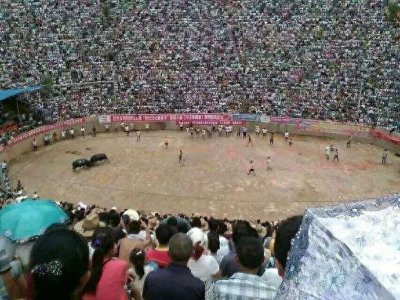 ​牛王擎天柱完美谢幕，从此江湖只剩下传说