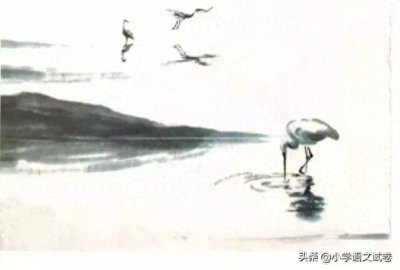 ​五上第一课《白鹭》教材解析