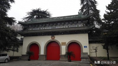 ​政府直属单位、政府组成单位有什么不同？哪种单位公务员更有优势