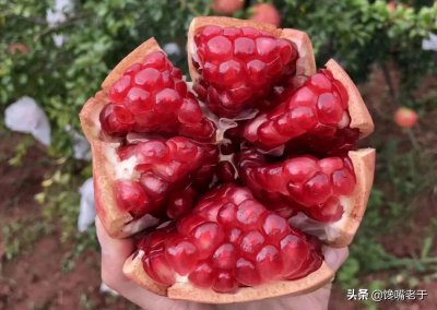 ​石榴剥法小妙招，今天才知道，看完涨知识了