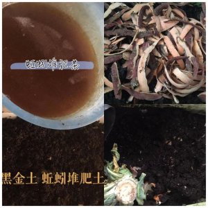 ​为什么阳台种菜少吃为妙（菜涨价了，想要在阳台种满菜！为什么不要轻易尝试阳