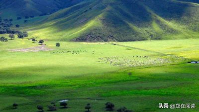 ​韦编三绝(解读典故：韦编三绝)