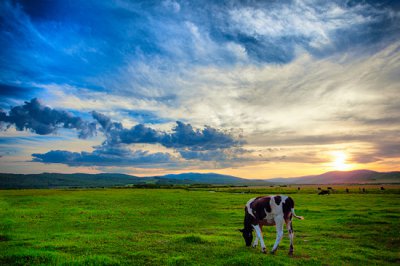 ​中国面积最大的城市是哪一个（中国面积最大的城市：相当16个北京比2个浙江还