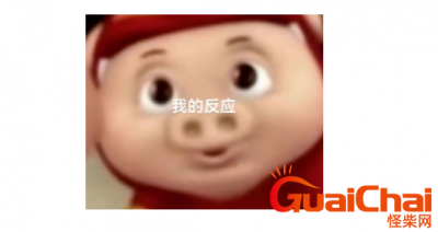 ​死猪惊掉下巴表情包是什么梗？出自于哪里？