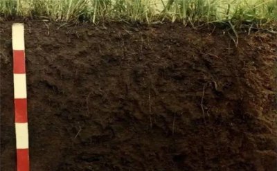 ​养多肉用什么土最好（要想多肉种的好，关键配土少不了，16种材料如何选？）