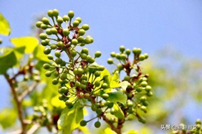 ​3本男主是军人的高干现言温馨甜宠文，《深深喜欢你》等