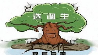 ​985院校还有珍贵的机会！分享中央选调生遴选的28所院校