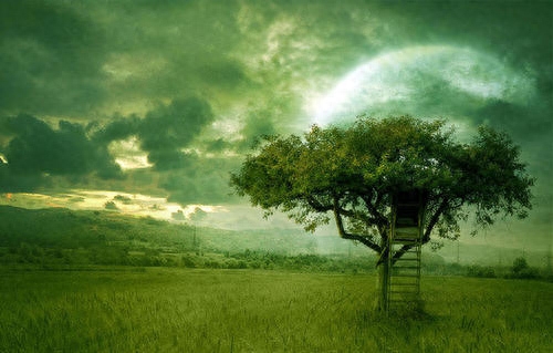 小学人音版二年级音乐下册《大树妈妈》素材及简谱