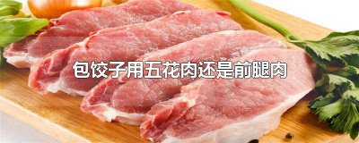 ​包饺子用前腿肉好还是后腿肉 包饺子是前腿肉还是后腿肉