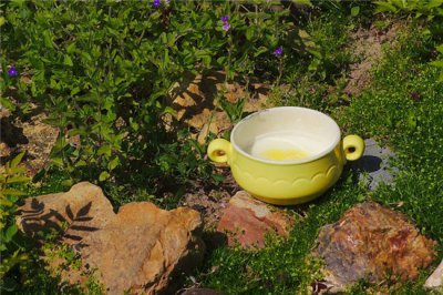 ​二陈汤的功效与作用（化痰通络的好方法推荐）