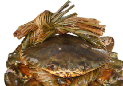 ​蟹肉怎么做好吃？教你新吃法，蟹肉鲜香没有一点腥味，看着就流口水了