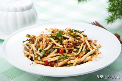 ​香菜种植方法和时间（香菜的种植时间和方法，你都知道吗？怎么才能种植出好的