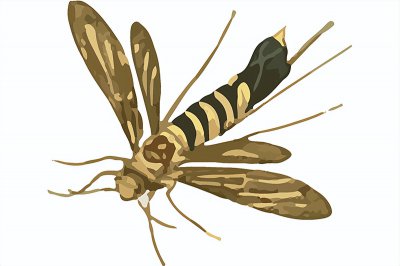 ​消灭蚊子的最好方法有哪些？分享几个常见的驱蚊小技巧！