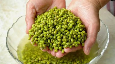 ​怎么种绿豆最简单做法，消暑气，沁凉又舒爽