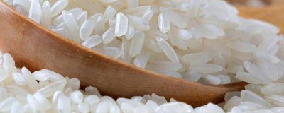 ​大米生虫子了还能不能吃 大米生虫子还能不能吃了