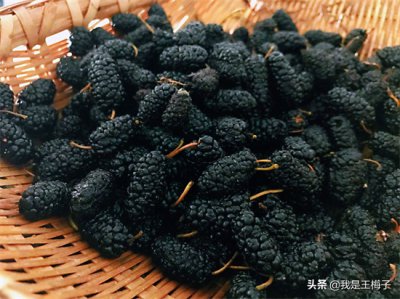 ​桑椹酒的做法配方（5月桑葚快下市，泡酒正当时，滋补又好喝，详细做法和配方