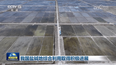 ​我国盐碱地综合利用取得积极进展网友评论 我国盐碱地综合利用取得积极进展的成