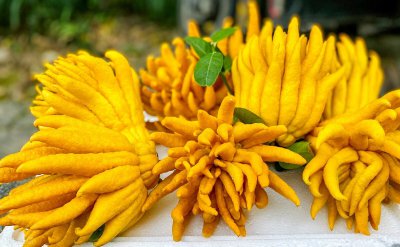 ​消化不良吃什么水果效果最好（这种南方水果可以疏肝理气，消化不良、失眠，甚