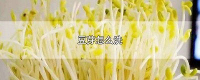 ​豆芽怎样洗才干净 豆芽洗的时候用什么东西洗