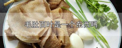 ​毛肚和百叶是不是一个东西呀 毛肚和百叶有啥区别