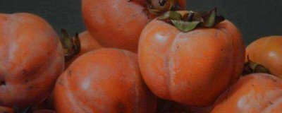 ​柿子可以和柚子一块吃吗孕妇 柿子能和柚子一块儿吃吗