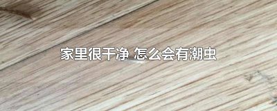 ​家里总是有潮虫 为什么家里会有潮虫?怎么解决?