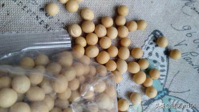 ​自家生黄豆芽方法如下，简单发芽快，炒出来脆嫩可口，越嚼越香