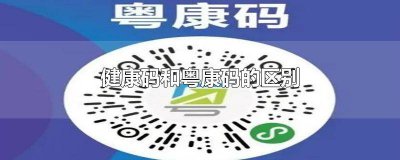 ​健康码和粤康码的区别 健康码和粤康码是一样吗