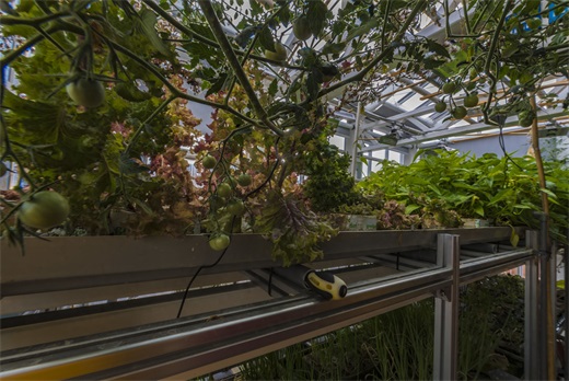 中国南极长城站