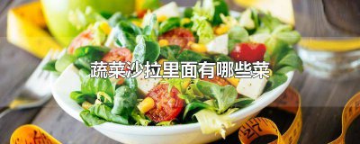 ​用蔬菜沙拉的英语造句 我最喜欢的食物是沙拉英语作文