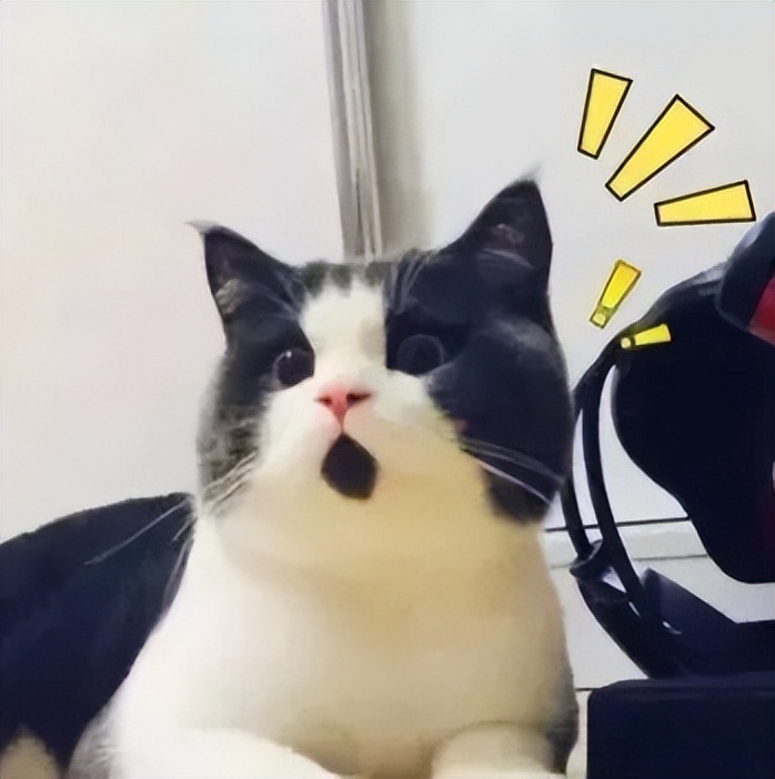 10开头的是什么电话警惕警惕！+01069开头号码真不是京东客服官方电话！"