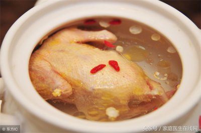 ​老鸽子的营养价值 一只鸽子等于十只鸡？鸽子的这些营养价值，你发现了吗