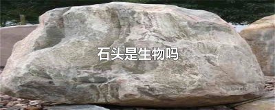 ​生物会对岩石产生哪些影响 下列不属于生物岩石的是