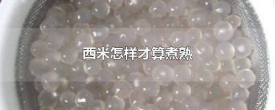 ​西米怎么算煮熟了 西米煮熟是怎样的
