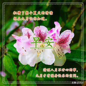 ​迎接九月的唯美句子（九月你好早安说说祝福文案）