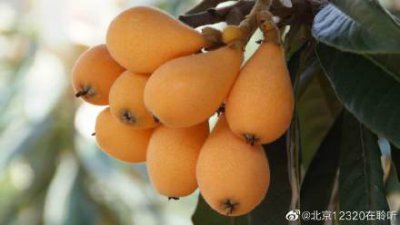 ​小儿止咳化痰的食物 儿童咳嗽吃什么好？三种食物来帮您