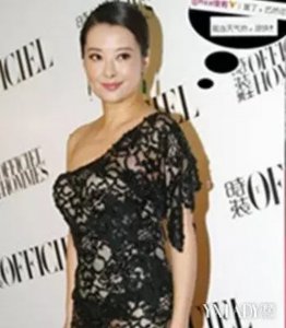 ​袁立七宗罪是什么（袁立曾炮轰某女明星七宗罪的事件始末）