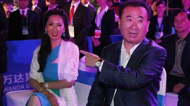 王思聪的舅舅林友杀妻案是怎么回事 始末详情全过程起因经过结果来龙去脉