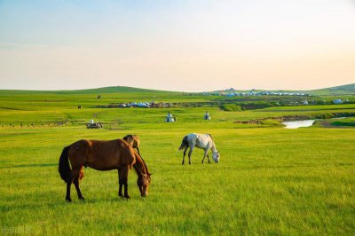 ​绿茶女是啥意思啊 绿茶女啥意思啊