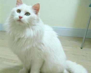 ​洗衣机异响很大声是什么原因（全自动洗衣机脱水时噪音巨大）