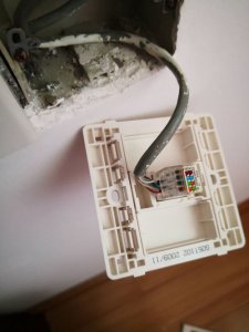 ​网线接水晶头怎么排线图解(网线与水晶头连接图解)